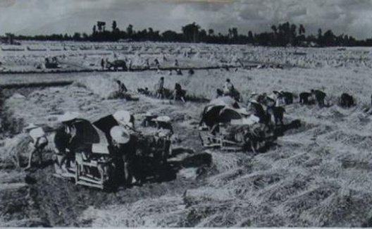 毛泽东对传统农业的全面改造思想论析