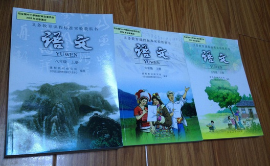 问题极为严重：中国为何成立国家教材委员会？
