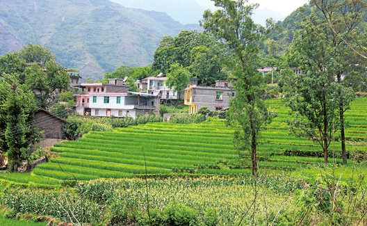 杜鹏 贺雪峰:论中国农村分家模式的区域差异