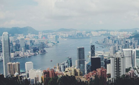 杨启：治疗香江，只需一副良方