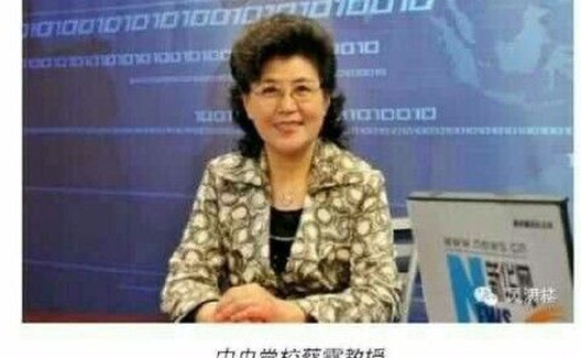 有王长江必出蔡霞