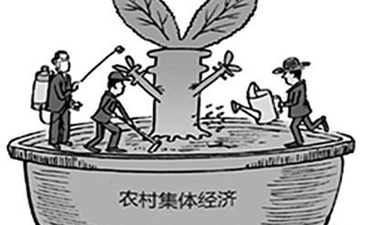 壮大集体经济要处理好“统”“分”关系