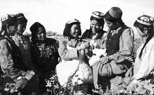 “黄青蕉”歪曲“湘女上天山”历史意欲何为？