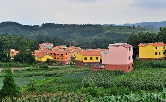 塘约道路：实现邓小平所说的“第二个飞跃”