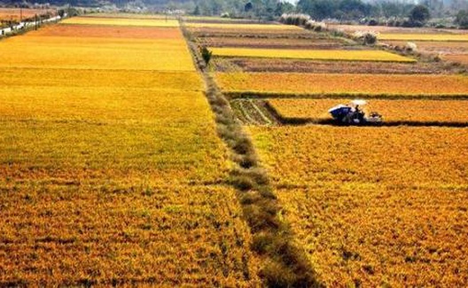 侯立虹：从勾践假种灭吴谈粮食安全