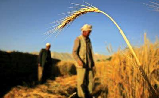 谈谈浩然小说的“图解政治”与“不真实”