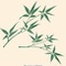 王晓渝