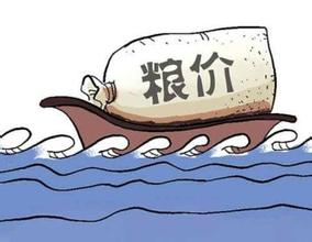 粮价“幕后之手” 四大粮商布局中国