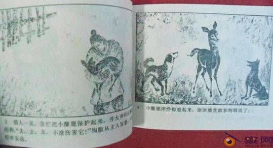 《疯狂动物城》：一部资产阶级政治教科书