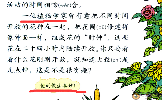 【六一关注】细读人教版教材 辨析有无西化问题