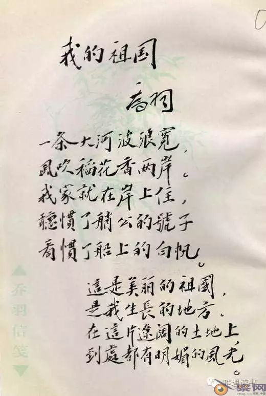 爱国贼的叫法可以休矣