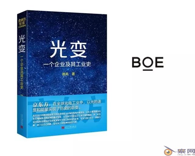 京东方的故事与打脸经济学