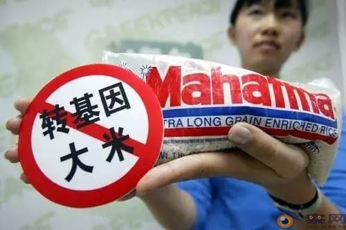 丛亚平:构建“生物国防”,叫停主粮转基因化