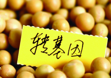 专家详解称转基因“好”的都是些什么人