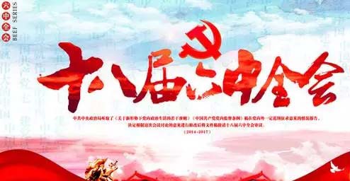 以组织力带动教化力：六中全会开启中共党建新征程