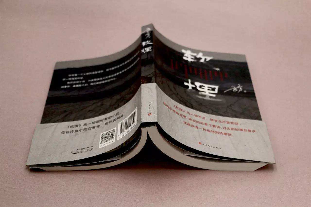 如何对比看待主流同时推出的《人民的名义》与《软埋》？