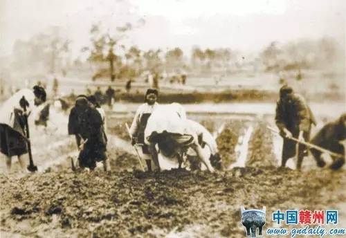 1928年的井冈山与上海相比，现代性较量已现端倪