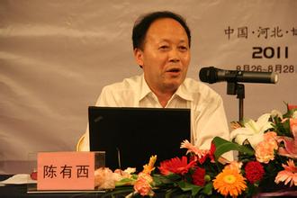 和平演变新伎俩：陈有西的评“死磕”及其两面性