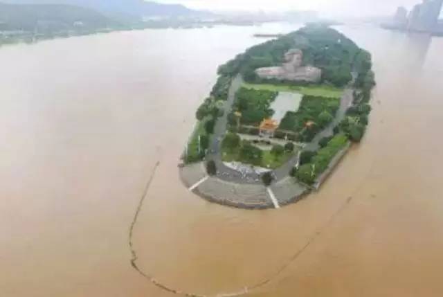 当全长沙奋力抗洪时，“良心”教授何兵在做什么？