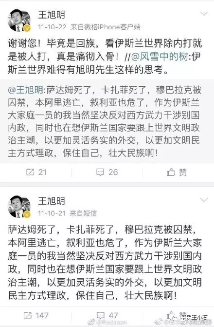 国家之所以成立教材委员会，西化、“清真”语文立功了