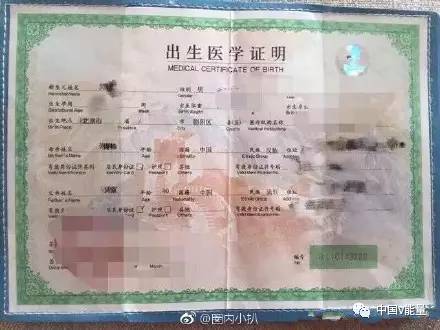 战狼2走红,吴京被造谣非中国人,造谣者其心可诛