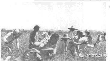 共产党如何面对1942大饥荒