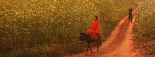 张艺谋？尴尬人难免尴尬事！