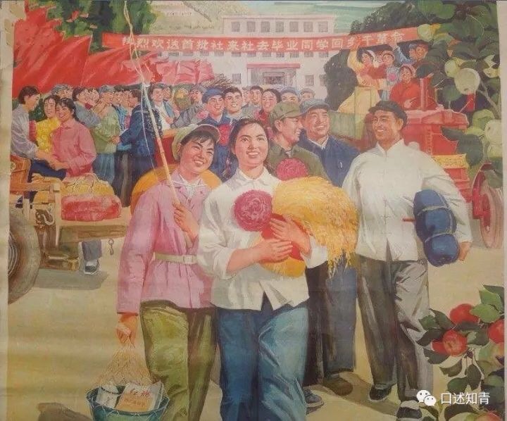 毛泽东“知青运动”背景考略