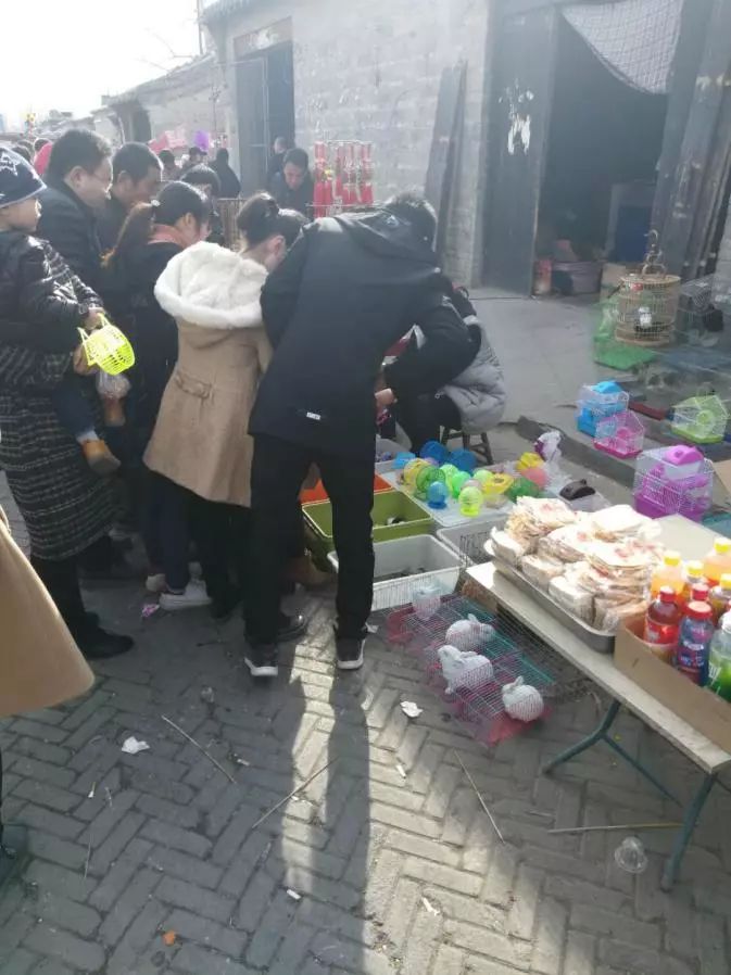 地道战景区,被“汉奸”和垃圾攻陷