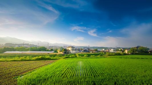 在实施乡村振兴战略中重建农村建设的集体化机制