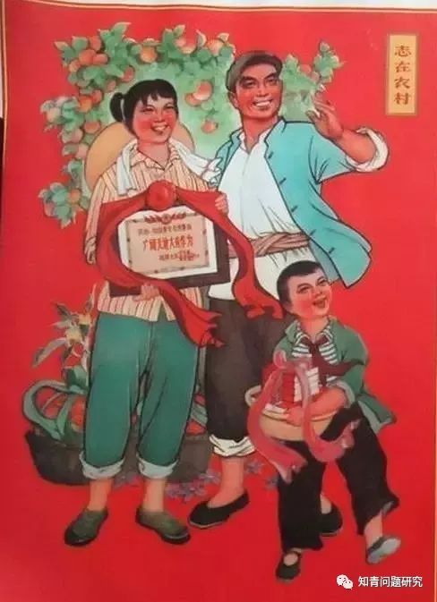 “七大真相”告诉你一个真实的“上山下乡”