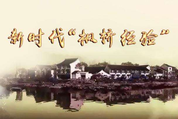 “枫桥经验”两种根本不同的解读——评尹曙生“谢富治与‘枫桥经验’”一文
