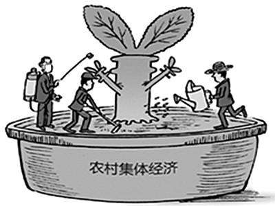 吕新雨: 农村集体经济的道路与制度——从新时期以来集体经济的三个案例谈起