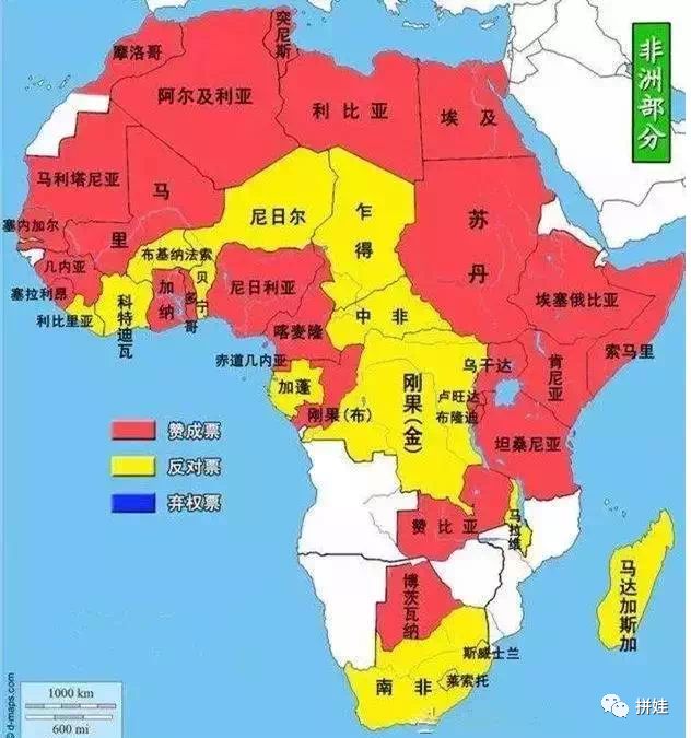 张捷：中非友好和支持的历史需要重新理解