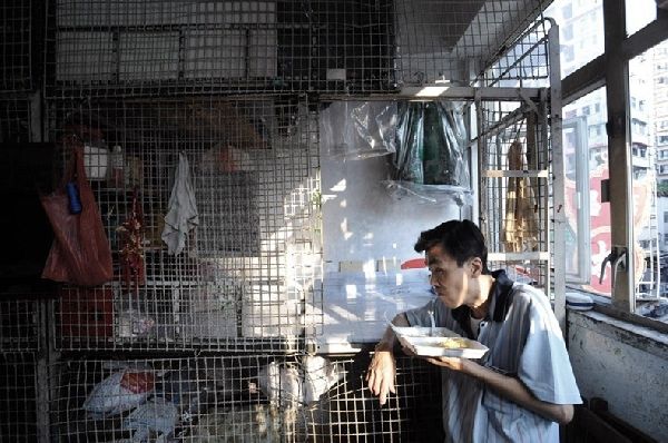 千钧棒：龙应台的“花园鸡蛋”和李嘉诚的“未来主人翁”是什么东东？