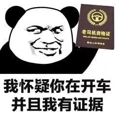 西方民主搞笑实录：P站拉票、真实吃鸡、女优竞选、相声大会