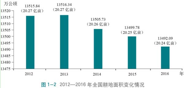 论中国经济改革中的粮食生产和粮食安全问题